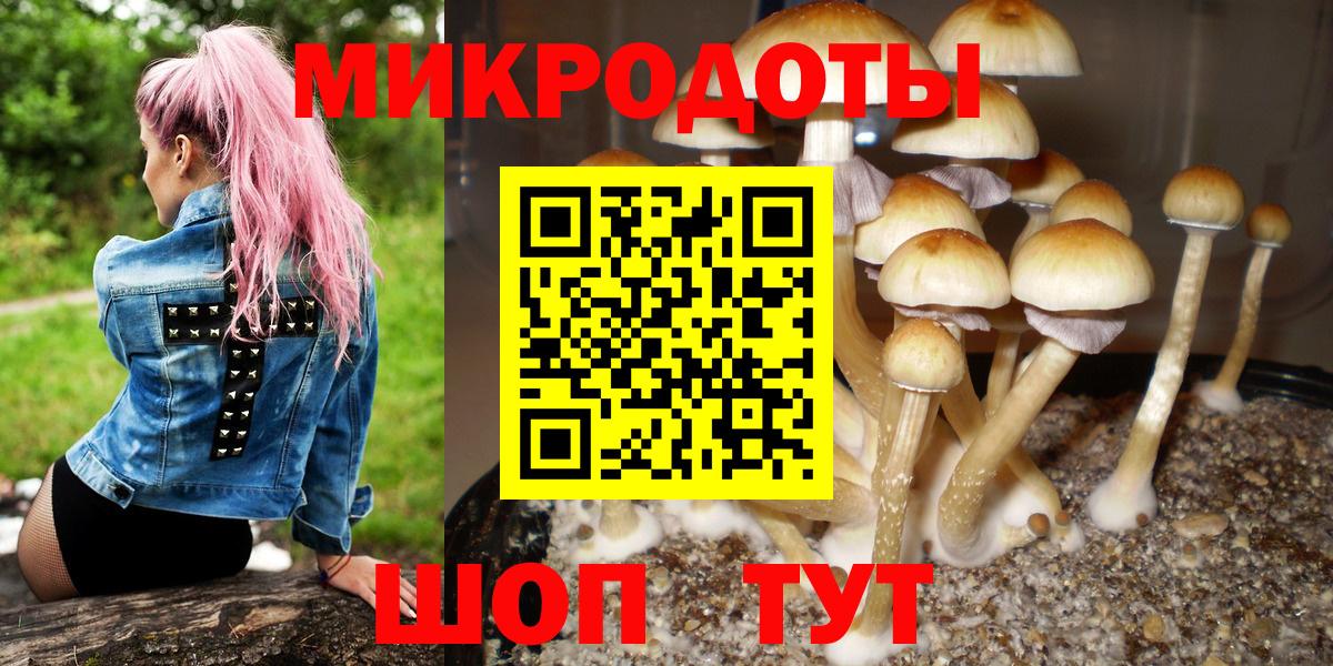 Псилоцибиновые грибы ЛСД Похвистнево
