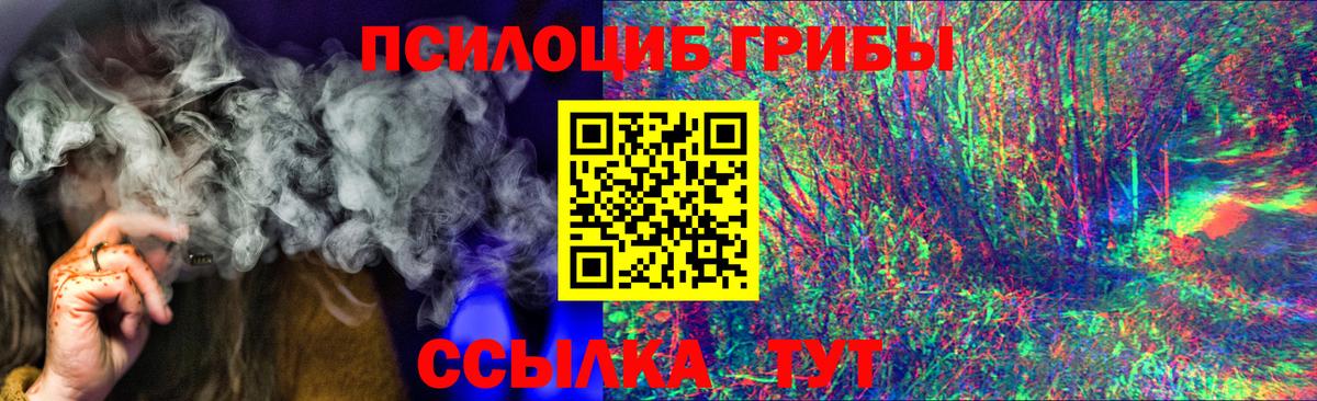 Галлюциногенные грибы прущие грибы  купить   Похвистнево  Псилоцибиновые грибы Cubensis  Вход с VPN 